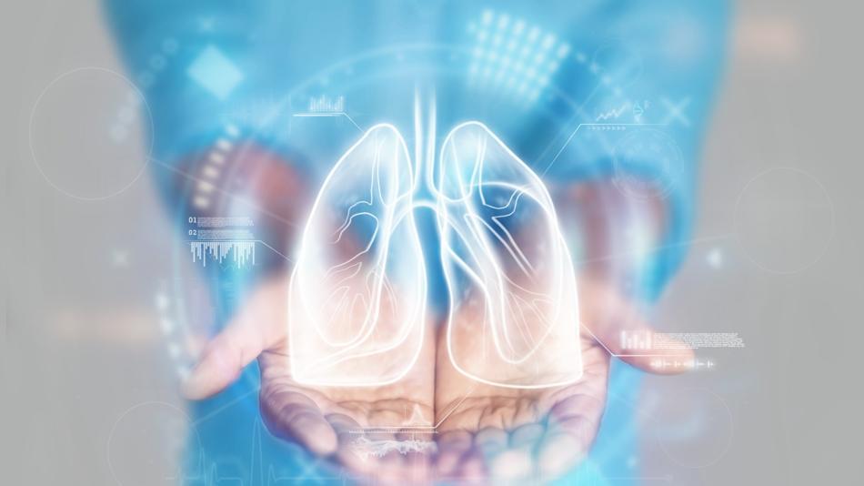 [LNF26] Wie lebt eine Lunge außerhalb des Körpers weiter? – Ex-Vivo-Lungenperfusion (EVLP) verständlich erklärt
