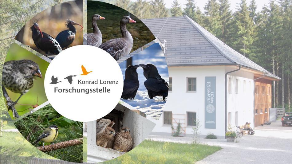 [LNF26] Was verrät uns das Verhalten der Tiere?