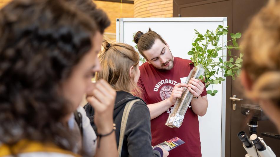 [LNF26] Wie bilden Mikroben und Pflanzen eine Partnerschaft unter der Erde?