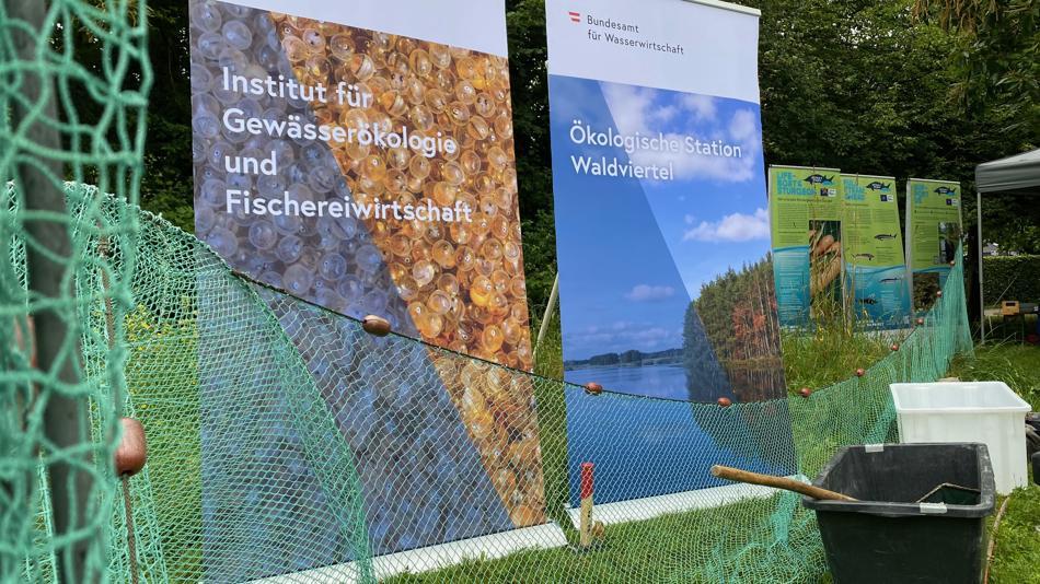 [LNF26] Wie kommt der Fisch auf unseren Teller? Und was kann er uns über unsere Gewässer erzählen?