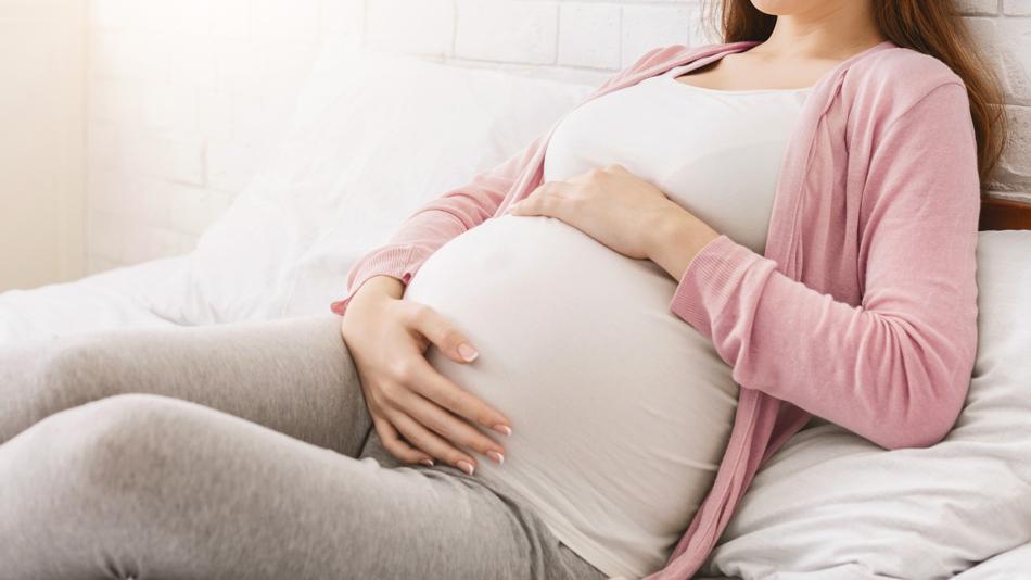 [LNF26] Die humane Plazenta im Labor - Modellsysteme und Entwicklung