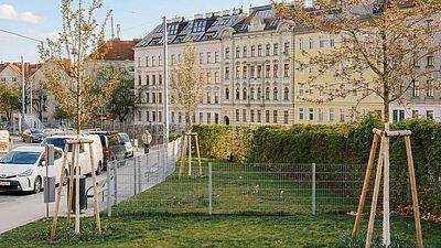 Garteltag im neuen Nachbarschaftsgarten Penzing