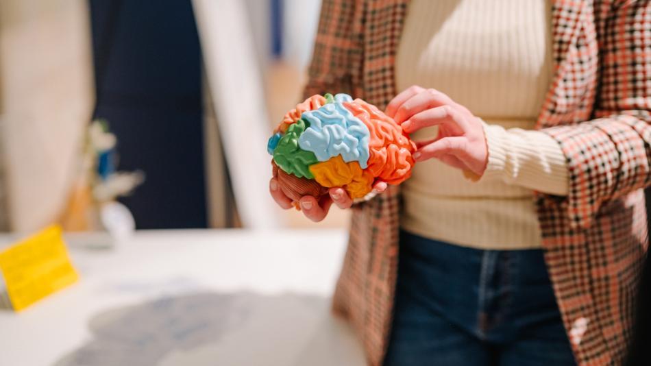 [LNF26] Virus-Detektiv:innen: Wissenschaftliche Bildung