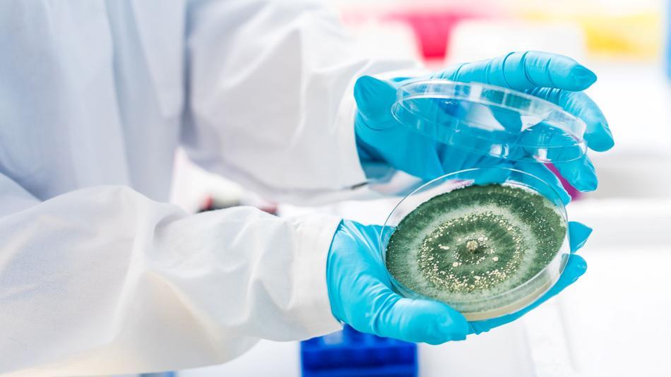 [LNF26] Wer sind die Superheld:innen der Biotechnologie?
