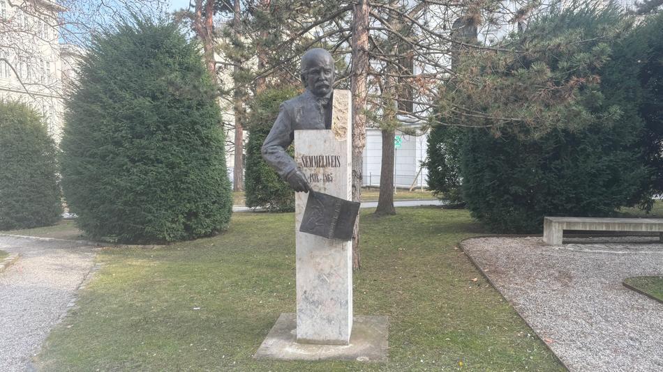 [LNF26] Wer war Ignaz Semmelweis? - Sein Leben, Sein Vermächtnis