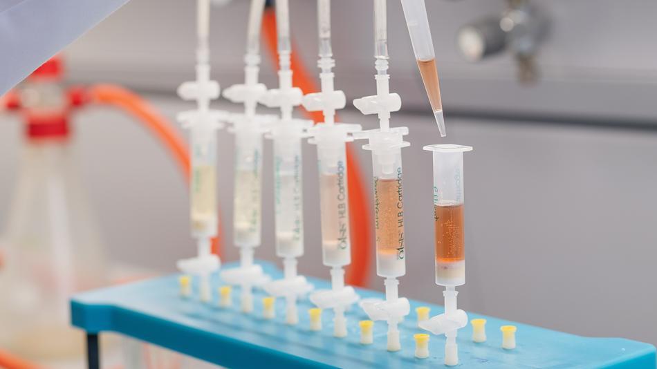 [LNF26] Wie viel Farbe steckt in unserem Alltag?